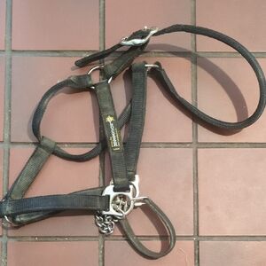 TOklat blocker Black Horse Halter with Chain